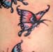 tattoo galleries/ - Second Tattoo and coverup